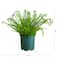 27in. UV Resistant Artificial Boston Fern Plant with Real Touch Leaves (Indoor/Outdoor)